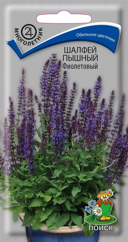 Шалфей Пышный фиолетовый 0,1г Ц Поиск