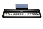 Kurzweil MPS110
