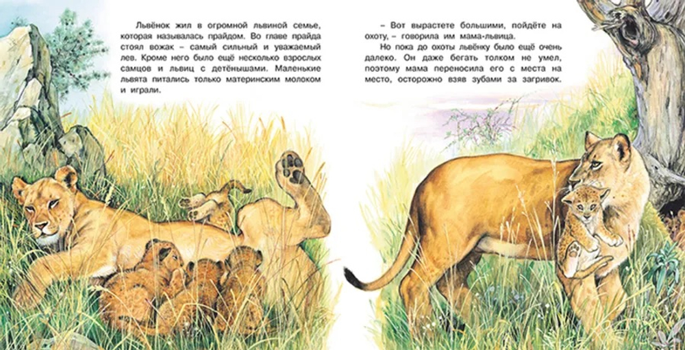 Фламинго ПМВН. Приключения львенка, изд.: Фламинго, авт.: Гурина И.В., серия.: Серия "Познаем мир вокруг нас"   Формат: 21х21 см; 16 цв. стр. + обл.
