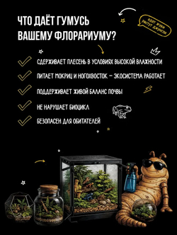 Удобрение для флорариумов и террариумов, зоогумус
