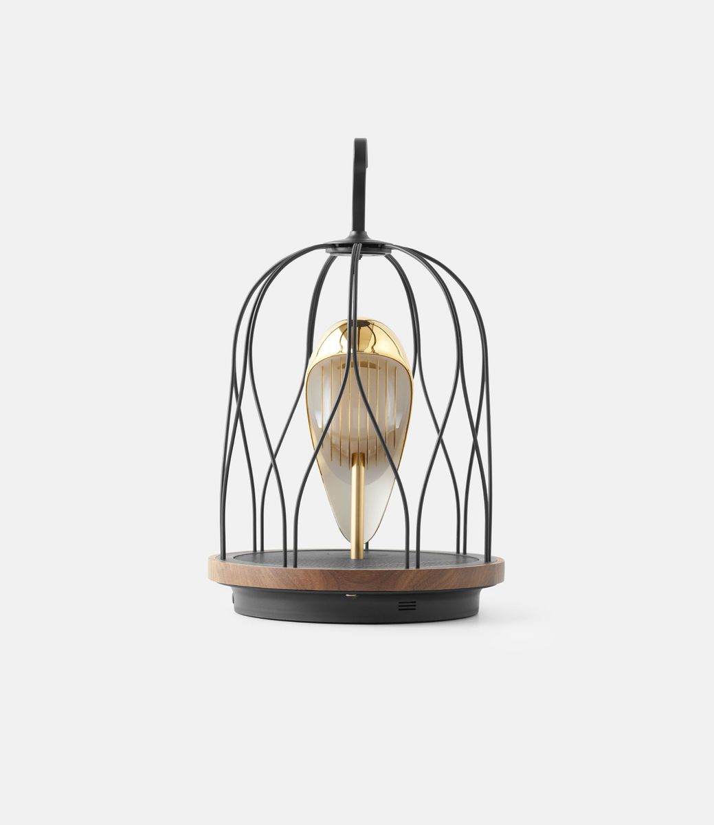 Daqi Concept Jingoos The Phoenix — акустический светильник