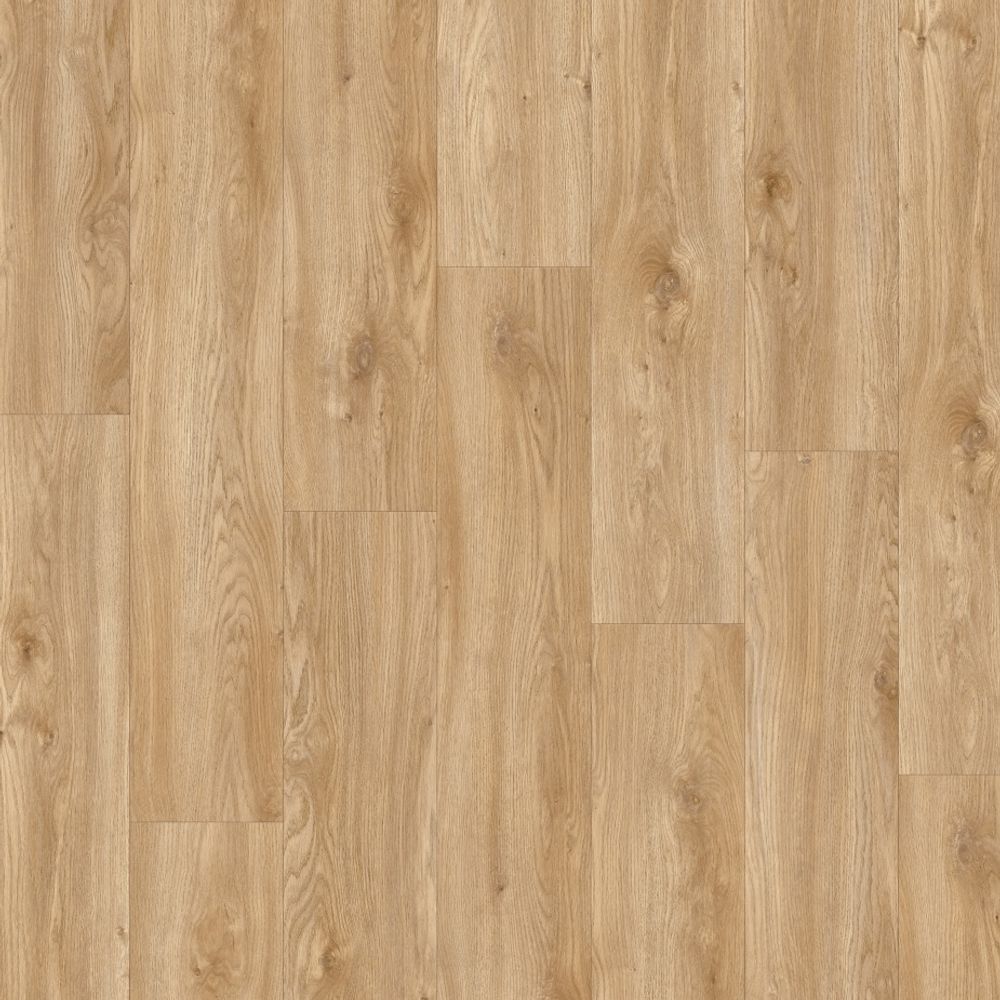 Sierra Oak 58346