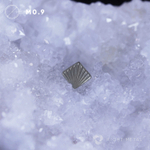 Shell Texture