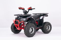 Квадроцикл подростковый YACOTA SIRIUS 125 LD бензин