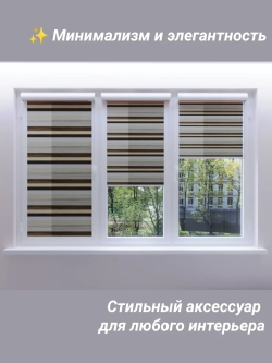 Рулонные шторы День-Ночь Зебра 58х110 см