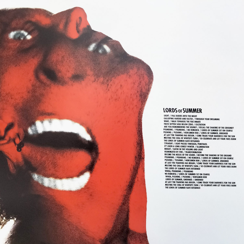 Metallica / Hardwired...To Self-Destruct (Deluxe Edition)(Coloured Vinyl)(3LP)