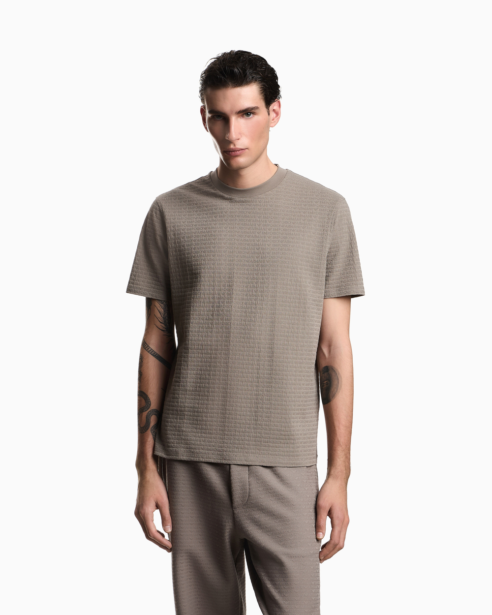 Футболка мужская EMPORIO ARMANI