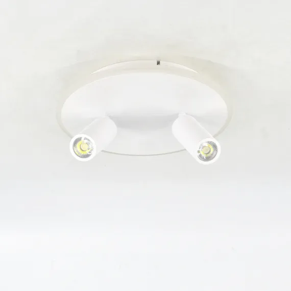 Настенно-потолочный светильник 20046LED 20046SMA/02LED WH Escada