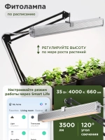 Система выращивания гидропоники с профессиональной фитолампой АГРОЛО Максимальная Смарт Блэк Эдишен с управлением через смартфон