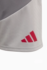 Шорты adidas Liverpool FC 26/27 Training Junior - серый