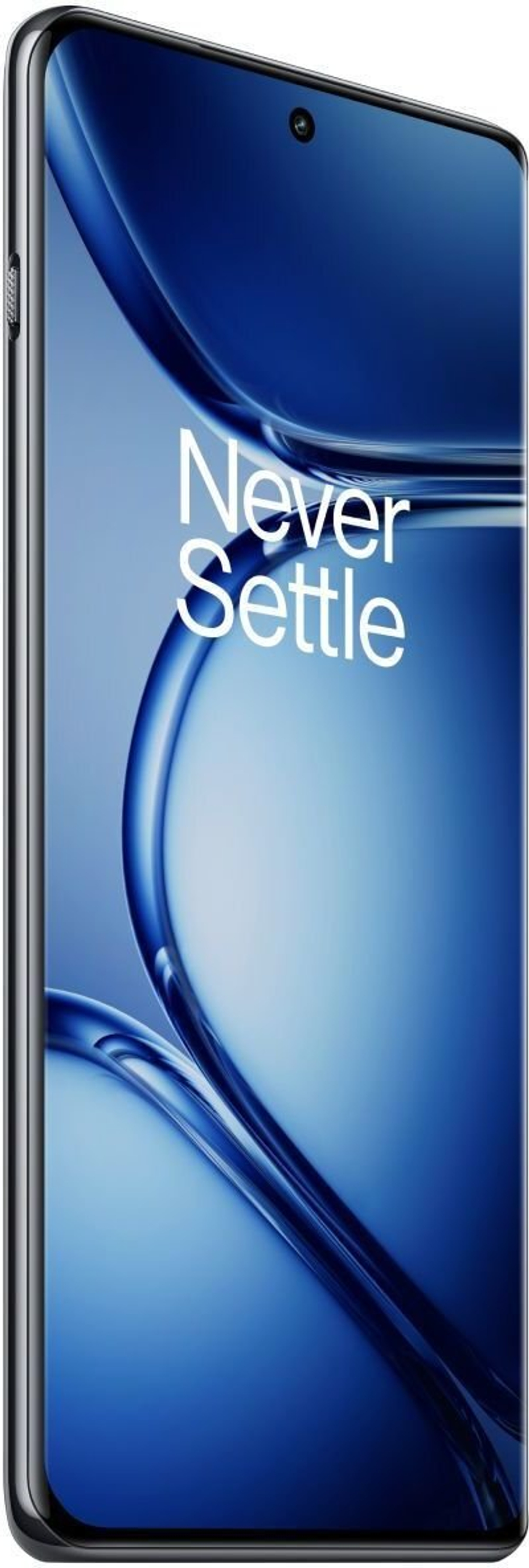 OnePlus Ace 2 Pro 24Gb/1Tb Gray