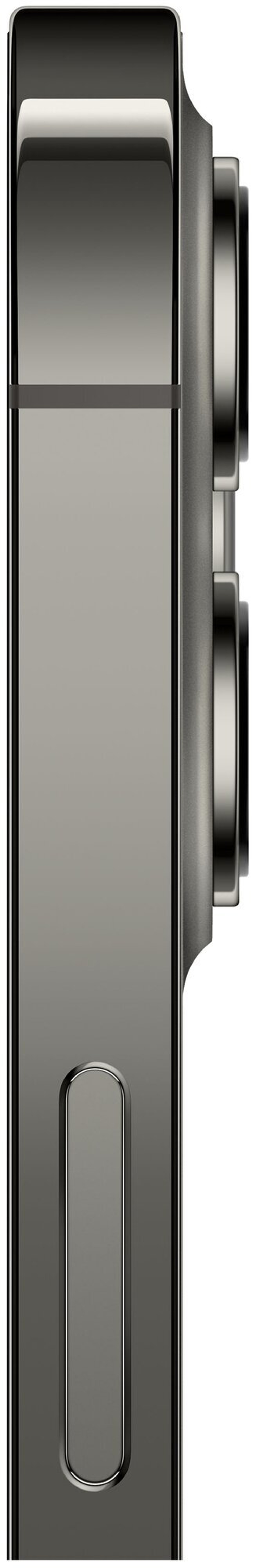 Смартфон Apple iPhone 12 Pro Max 256 ГБ, nano SIM+eSIM, графитовый