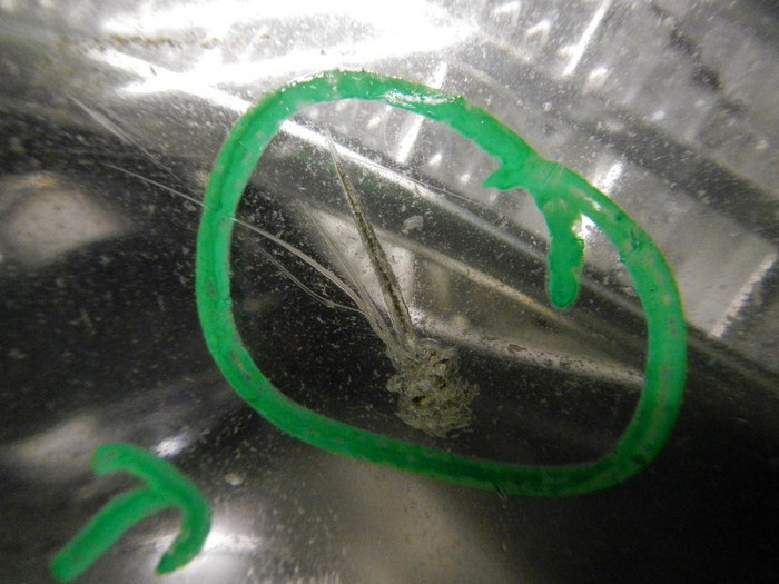 DSCN6380.JPG