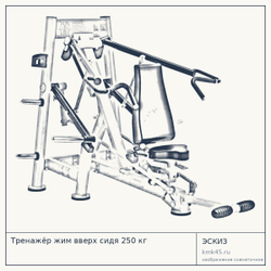 Тренажёр жим вверх сидя 250 кг — от 216 000 ₽