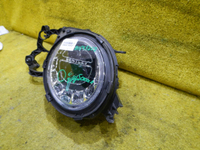 DSCN7345.JPG