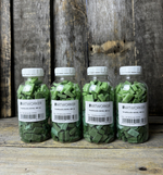 зеленая смальта стекло Smaltbottle-MOSS ArtWorker