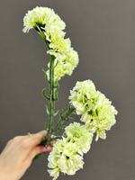 Статица белая (h64 см)