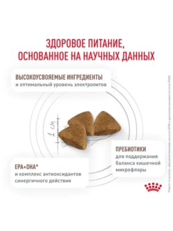 Gastrointestinal Корм для кошек 2кг