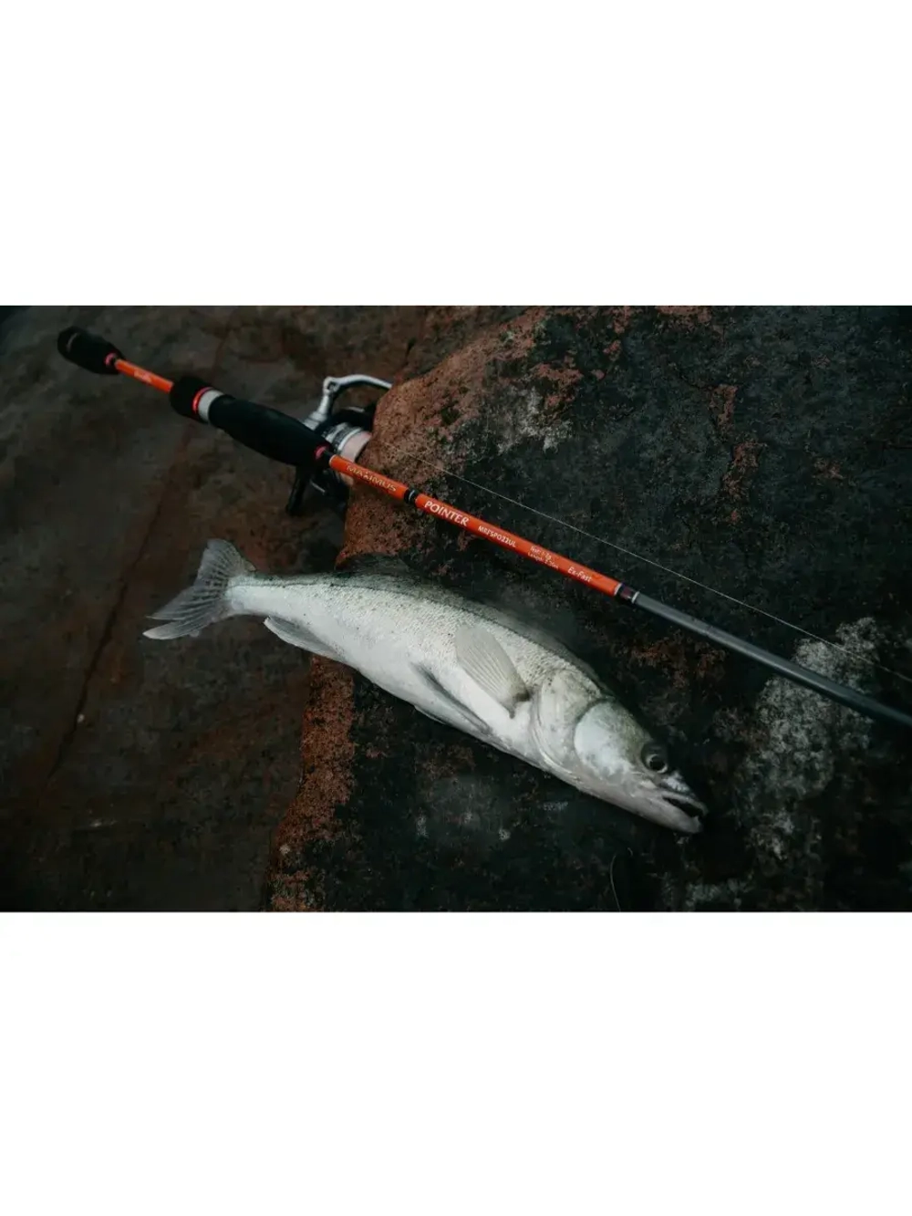 Спиннинг Maximus POINTER