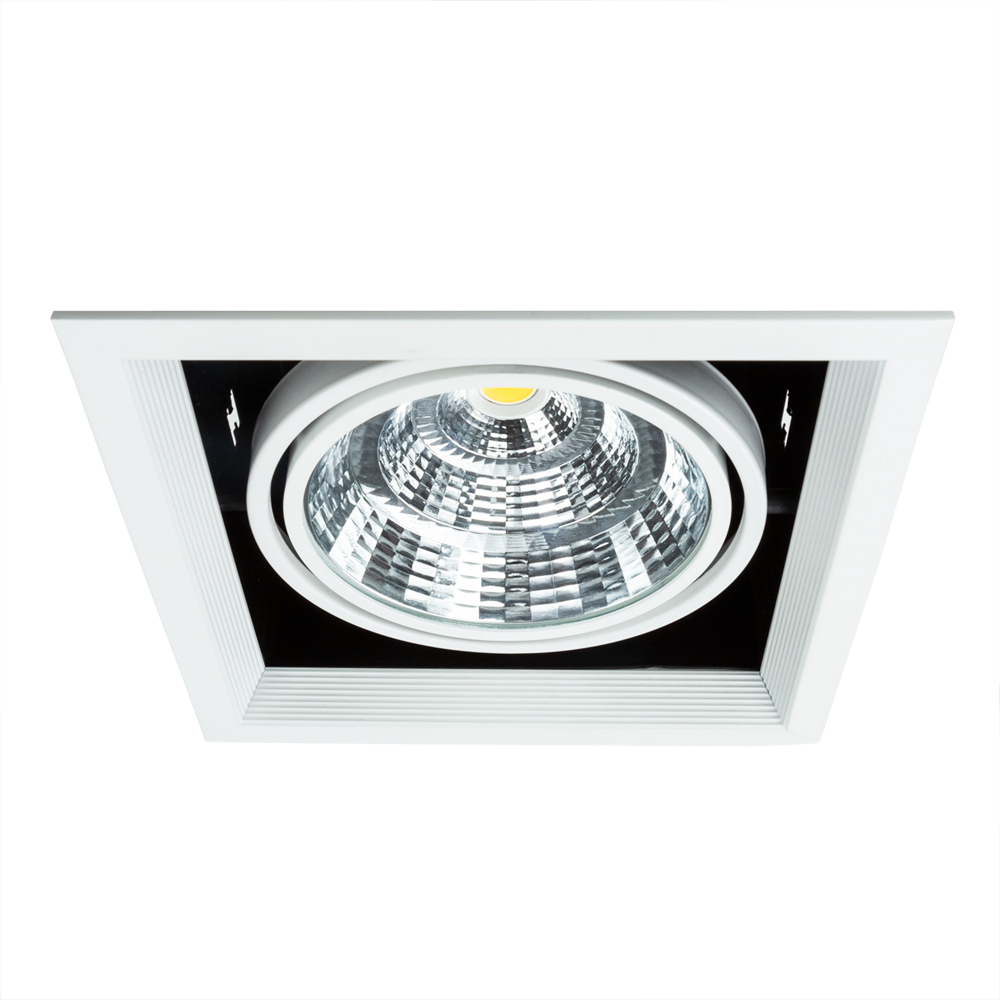 Светильник точечный Arte Lamp Merga A8450PL-1WH