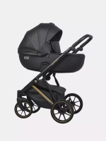 Коляска MONTANA PREMIUM (2 в 1) (RIKO BASIC)