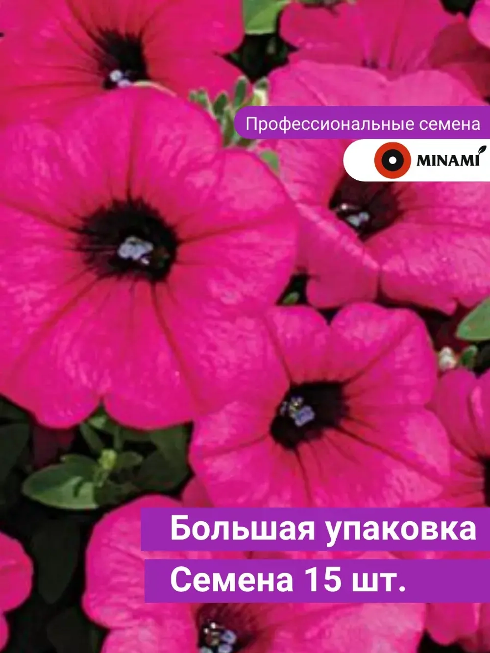 Петуния Парпл F1 Вельвет ампельная 15шт