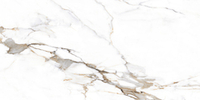Staro Rizzi Palermo Polished 60x120