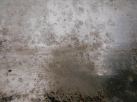 DSCN7774.jpg