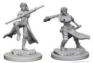D&D Nolzur's Marvelous Unpainted Miniatures - Human Female Monk