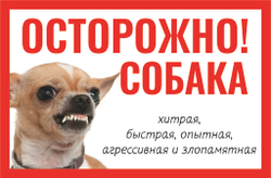 Табличка "Осторожно быстрая собака"