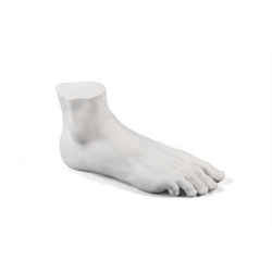 Статуэтка Memorabilia Mvsevm Male Foot