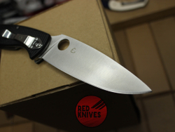 Нож Spyderco Resilience LTW F/P - рукоять черная