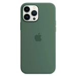 Силиконовый чехол с поддержкой MagSafe Apple Silicone Case для iPhone 13 Pro, Eucalyptus (Эвкалипт)