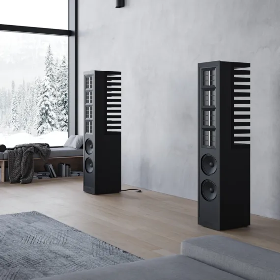 Piega Master Line Source 2 Baffle Anodised Black/Zebrano