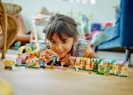 Конструктор LEGO Friends 42615 День усыновления домашних животных