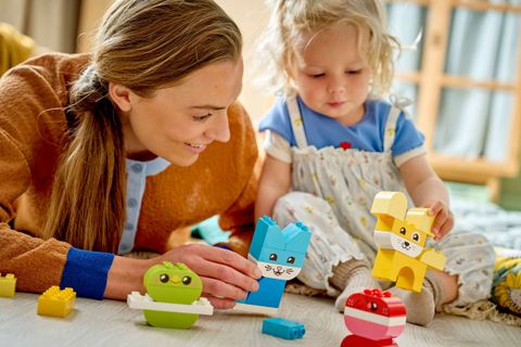 Конструктор LEGO Duplo 10477 3 in 1 Creative Cute Pets