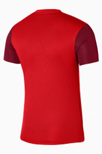 Футболка Nike Dri-FIT Trophy V