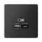 Розетка с USB A+C Systeme Electric ArtGallery Базальт GAL001429