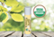 Dodaq üçün balzam \ Бальзам для губ \ Organic Lip Balms  (4.25 g) Creme