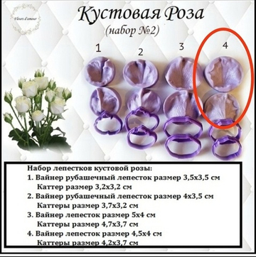 Роза вайнер лепесток №11