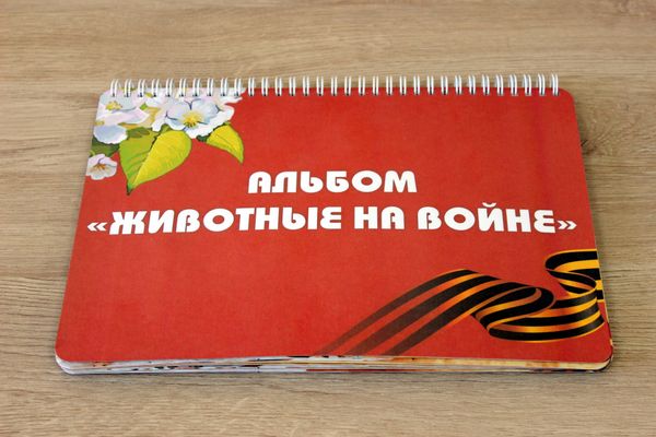 Готовый материал от 14.03.2025 г.