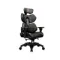 Cougar Terminator Black