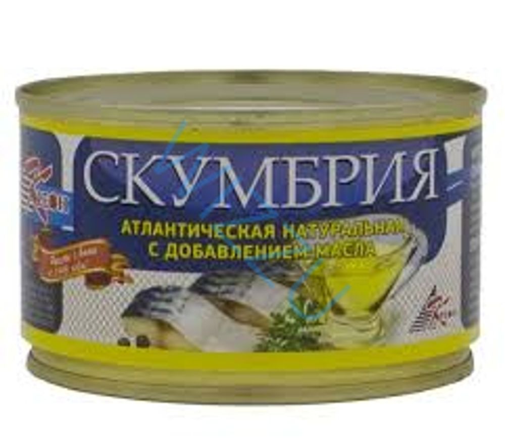 Скумбрия Морская Держава НДМ ж/б ключ 240г