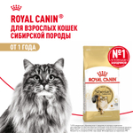Royal Canin Siberian Adult Сибирская Эдалт Корм сухой для взрослых кошек сибирской породы от 1 года и старше 2кг