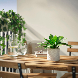 IKEA FEJKA  (ИКЕА ФЕЙКА)  -  Искусственное растение в горшке - для дома/улицы/хоста садовая 9 см