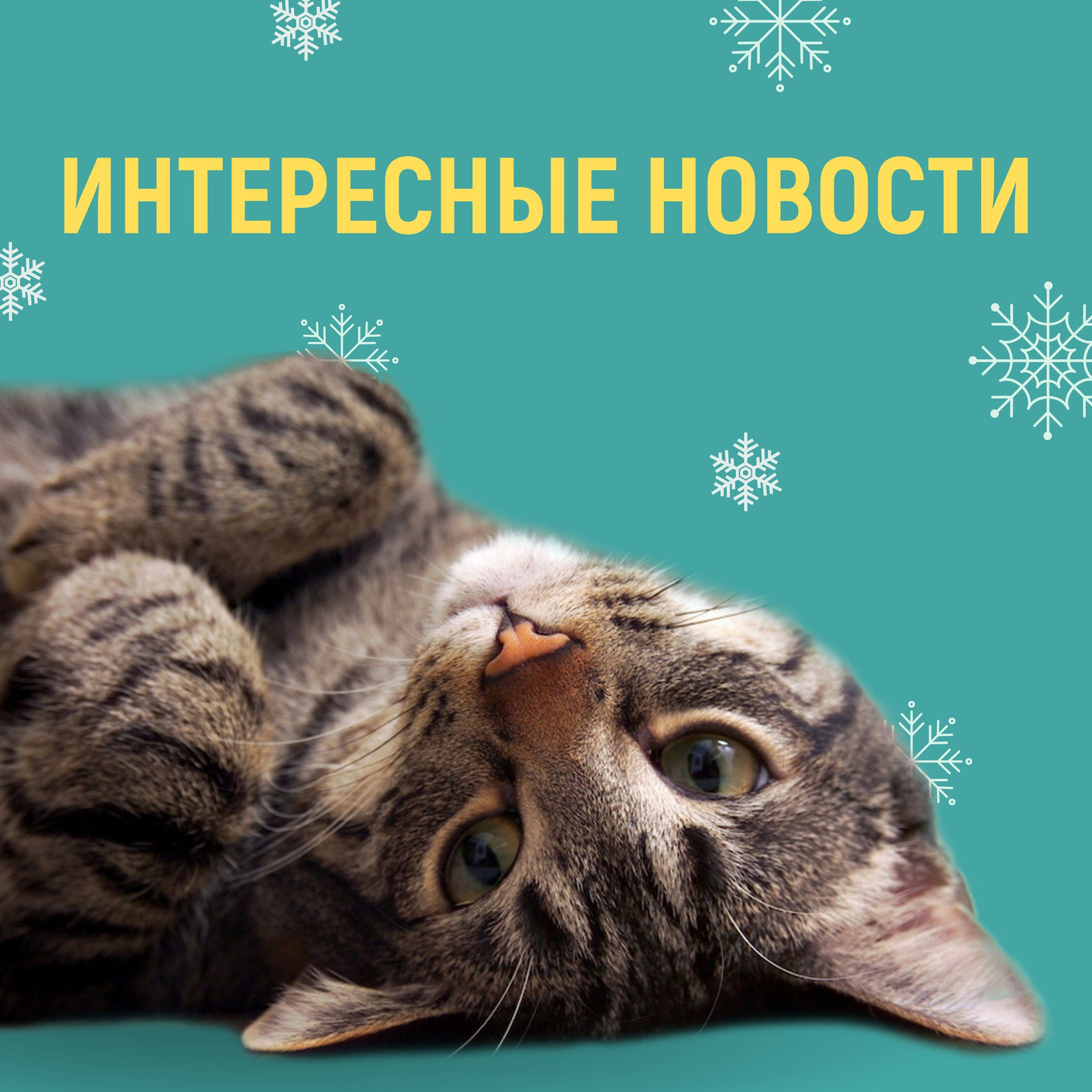 Международная биотехнологическая компания «Энтопротэк» начала сотрудничество с «ОНТО» — крупнейшим производителем кормов на основе энтомопротеина