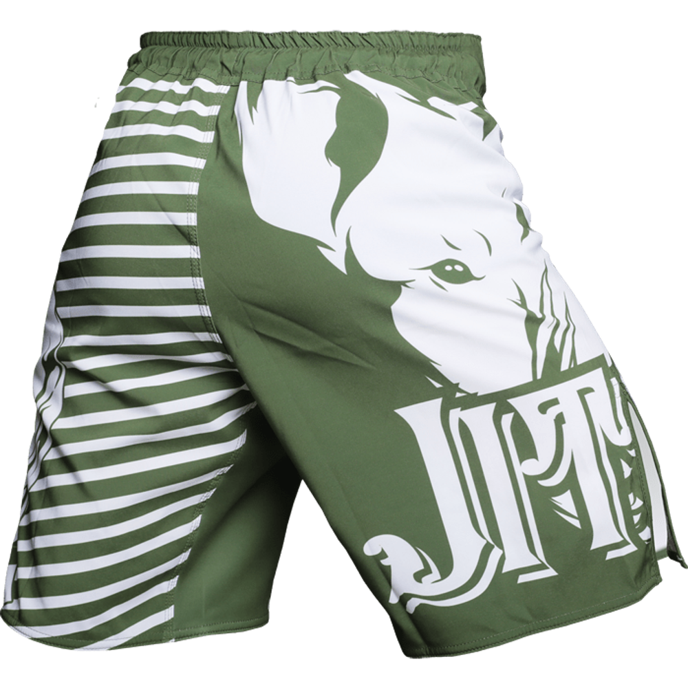 Шорты Jitsu Gentle & Strong Green