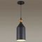 Подвесной светильник Odeon Light Pendant Bolli 4091/1