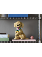 Конструктор Лего айконс Щенок золотистого ретривера 11384 | LEGO Icons Golden Retriever Puppy 2102 детали 18+