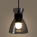 Подвесной светильник Freya Topi FR5503PL-01B